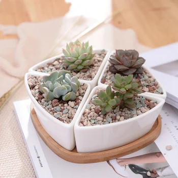 

2 Types Ceramic Succulent Flower Pot Polygon Combination flowerpot Set Hexagon Flower Pot + Bamboo Holder For Home Decoration