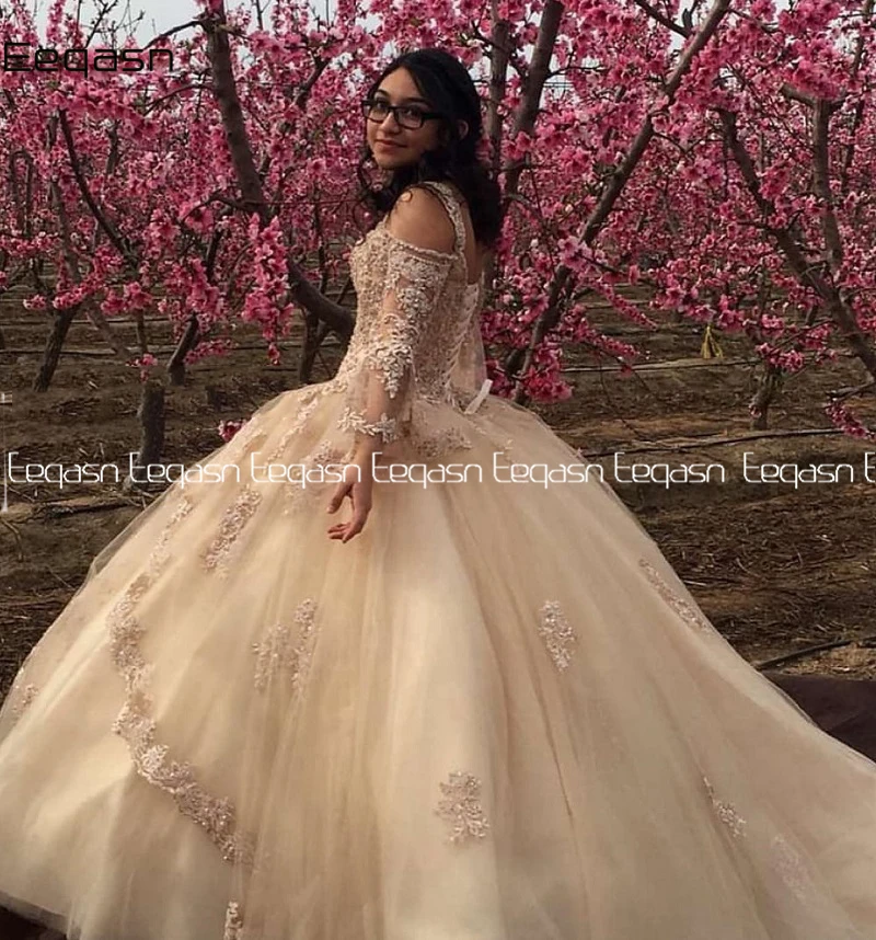 Light Champagne Quinceanera Dresses Ball Gown Lace Off Shoulder Tulle Sweet 16 Dress  vestidos de 15 años Prom Gowns images - 6