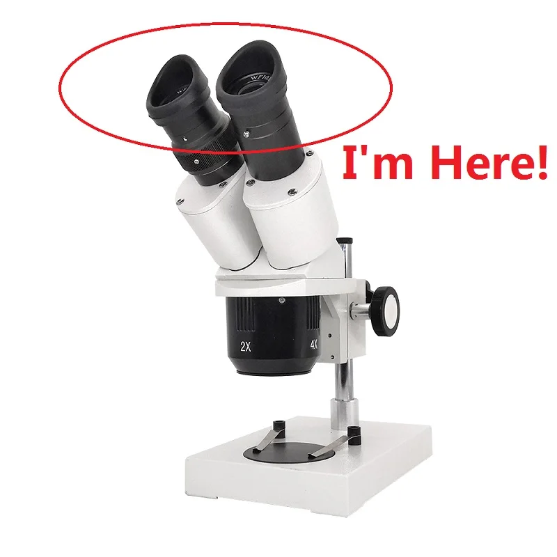 Pair Wide Field Eyepiece Optical Lens for Stereo Microscope with Mounting Diameter 30mm or 30.5mm Rubber Eye Cups WF5X WF10X microscope eyepiece stereoscopic microscope eyepiece