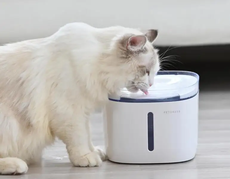YouPin Petoneer Pet Drinking Dispenser Automatic Pets Water Dispenser Fountain Dog Cat Pet Products Mute Drinker Feeder Bowl (4)