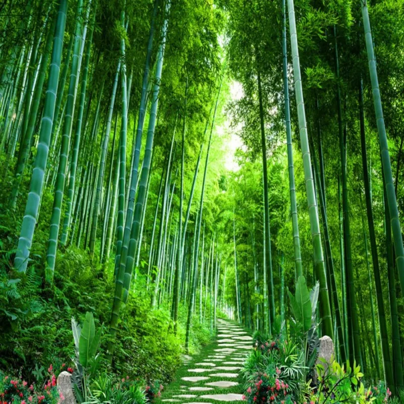 

Drop Shipping Custom Wallpaper For Bedroom Walls Bamboo Silent Flower Path 3d Mural Wallpaper Papier Peint Home Improvement