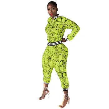 

autumn winter new fashion women set sexy Snakeskin pattern two piece outfits tracksuits