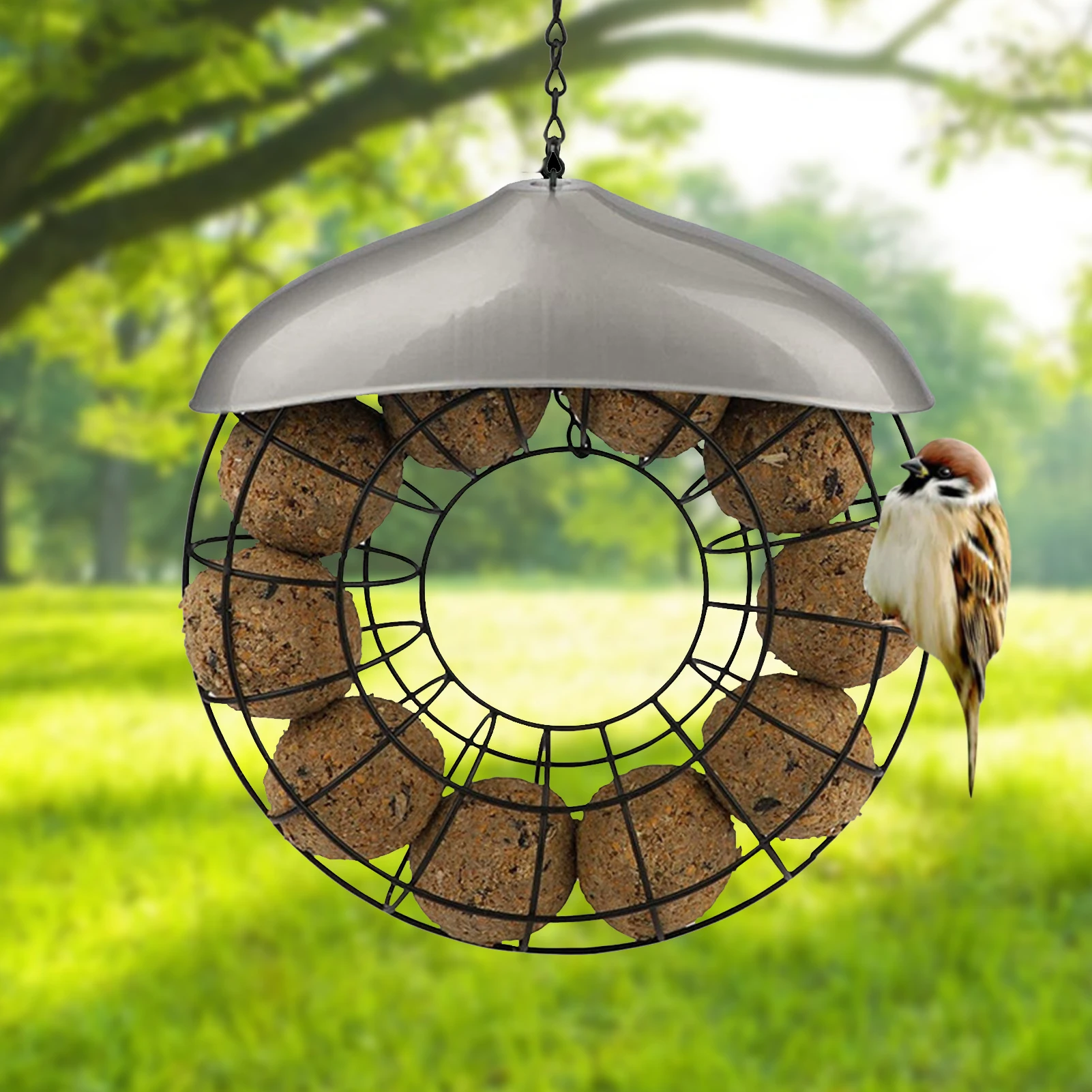 Hanging Wild Bird Seed Feeder Bird Feeding Tool Garden Paddock Outdoor Decoration Pet Supplies Tableware Feeder Supplies