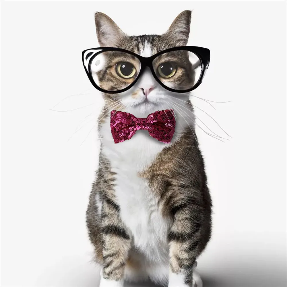 

Funny Pet Product For Dog Cat Accessories Cat Cap Cat Bow Tie For Pets`Birthday Christmas Headwear Decor Dog Cat Pet Accessories