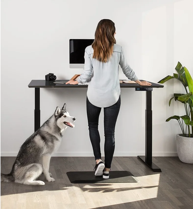 

10pcs PACK, Motorised Standing Desk, 65-120cm High Adjustable / CE FCC Electric Lift Memory Motor/ Faux Leather Desktop 160x80cm