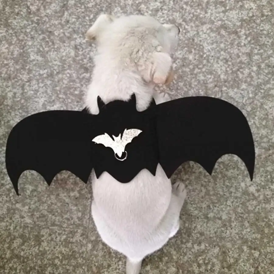 

Cute Halloween Pet Cat Dog Costume Bat Wings Walking Harness Vest Chest Strap Harness with Leash Halloween Decorations