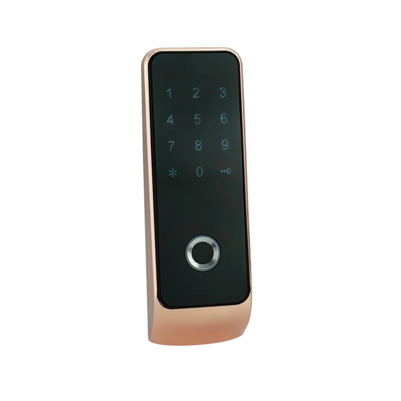 

161 Series Fingerprint Password EM ID RFID Card Cabinet Lock Rose Gold Color Plastic Plating Zinc Alloy Electronic Sauna Lock