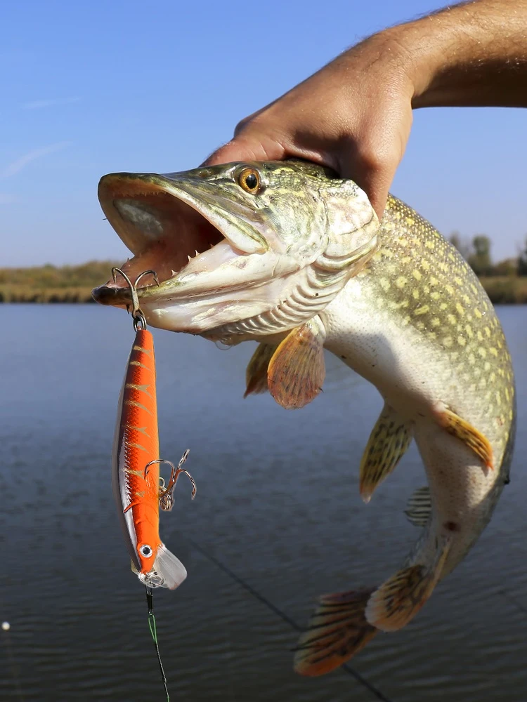 Fishing Lure 7g 10cm Trout Lure 3D Eyes Jigging Lure Swimbait Wobblers Crankbait Hard Lures Plastic Fishing Tackle New Hot