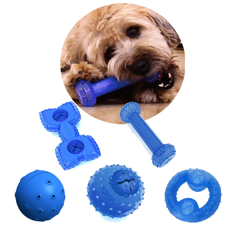 cooling dog toys