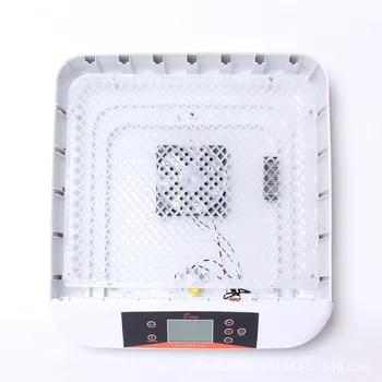 

Intelligent Full-automatic Egg Incubator Hatcher 56 Eggs Hatching Machine For Chicken Duck Transparent Plastic
