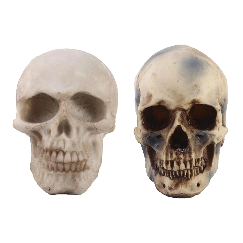 2pcs Realistic Replica Human Skull Resin Skull Skeleton Head 