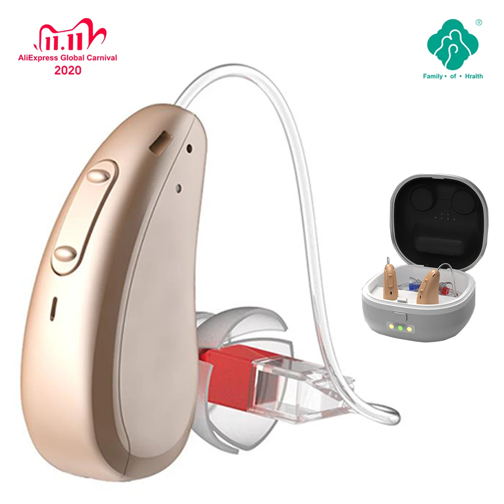 

Multi-Function Switch Hearing Aid 4 Channels Full Digital Rechargeable Invisible RIC Hearing Aid