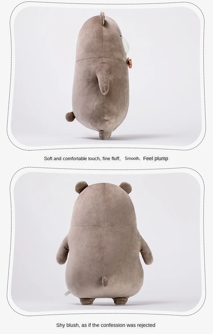 Mr Brown Bear