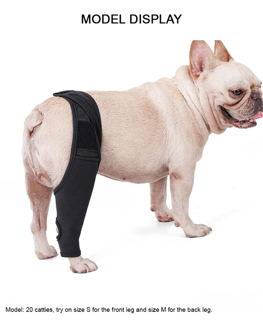 Buy KRUUSE Rehab Knee Protector, Small Online - MyPetz