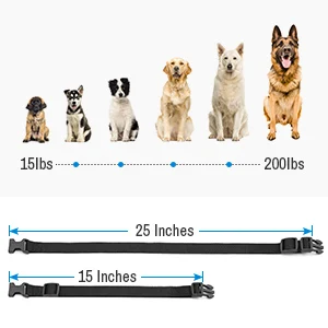 ff534314-b590-42d0-97d1-0d150fe2b28e.__CR0,0,300,300_PT0_SX300_V1___