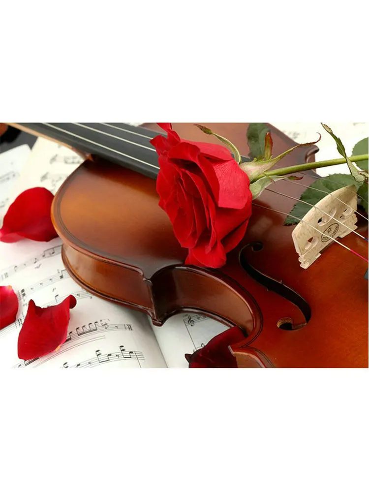 DIY-5D-diamond-painting-rose-on-the-violin-cross-stitch-rhinestone-mosaic-pattern-rhinestone-diamond-embroidery