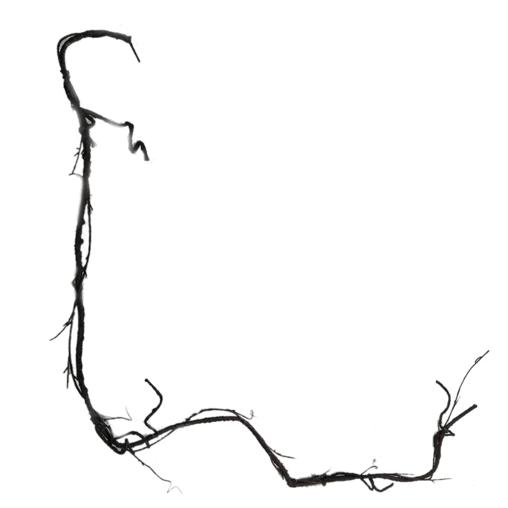 YYPA0175-1-YYPA0175-2-C8