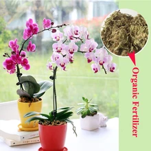 6L Phalaenopsis Sphagnum Moss Garden Supplies Moisturizing Nutrition Organic Fertilizer For Phalaenopsis Orchid Musgo Sphagnum