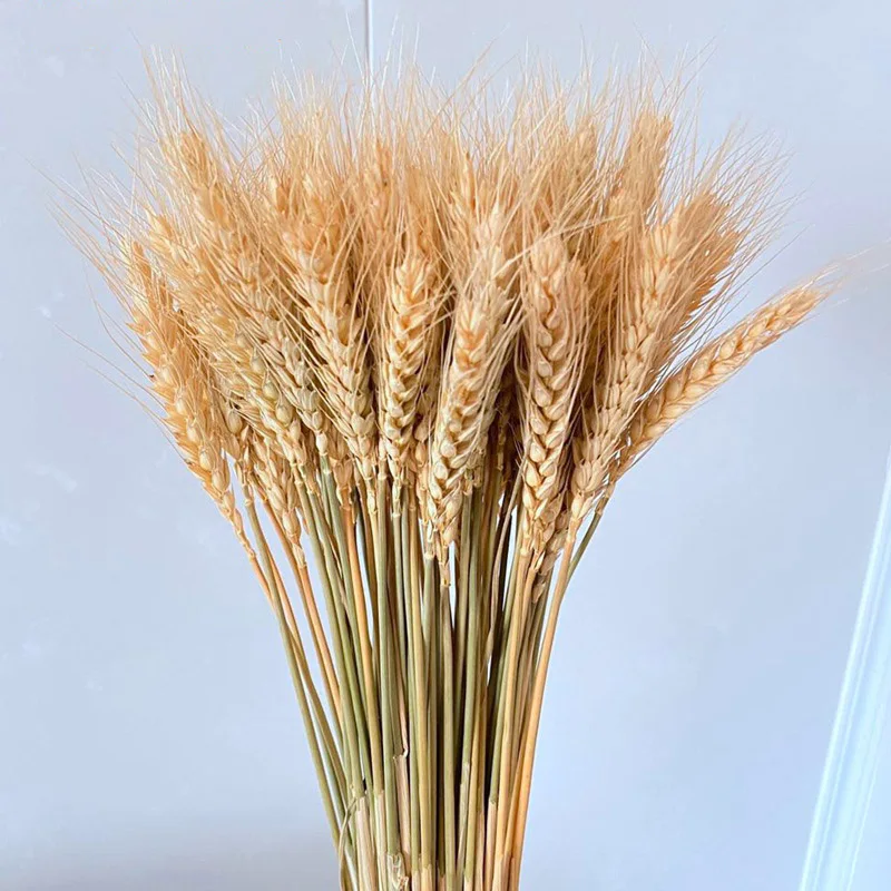 16004061628_179027579