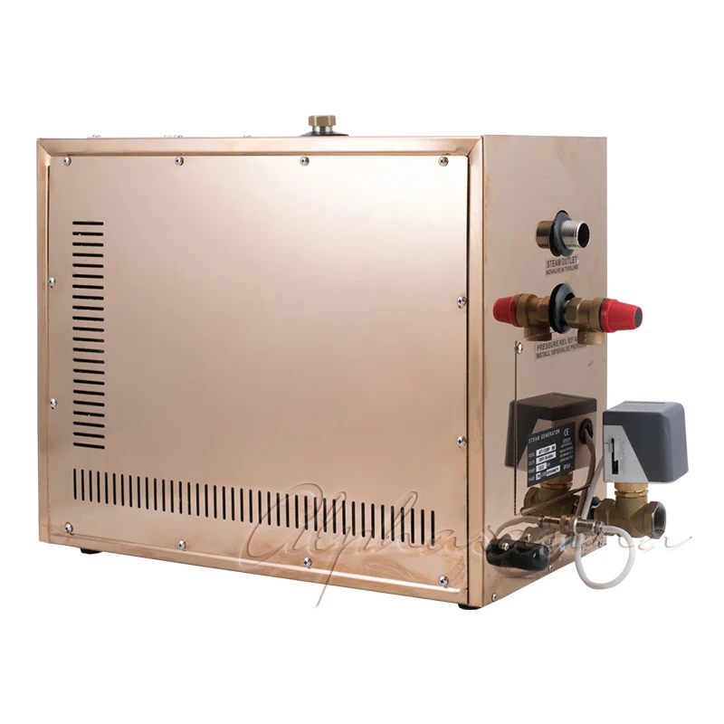  Free shipping Auto-drain Function 12KW 380-415V 3Phase Steam Generator for Hammam Bath