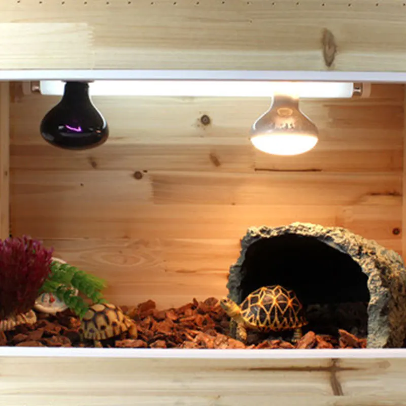 Creative Practical Terrarium Resin Scorpion Spider Covered Cat Bed Rock Cave Ornament Cat Beds Durable 18* 18* 12 Cm Reptile