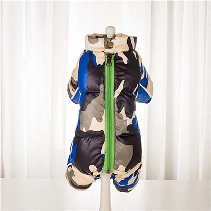 QQ图片20191021105402