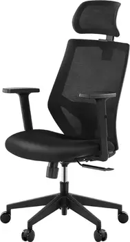 

Ergonomic Office Chair, Mesh Chair with Lumbar Support, Tribesigns High Back Desk Chair with Breathable Mesh