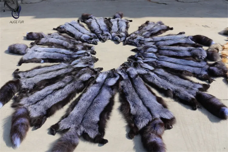 Fox skin05