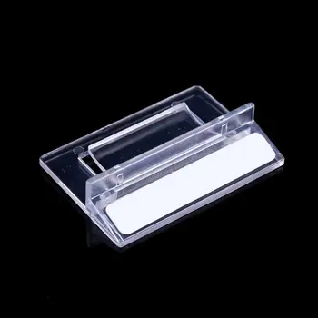 

Canine Dog Skull Model Anatomy Skeleton Veterinary Specimen Teaching Display PXPA