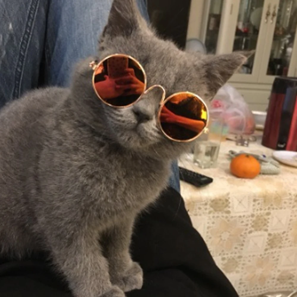 

New simple Cool Pet Glasses Multicolor For Pet Products Small Dogs Puppy Sunglasses Pet Dog Eye Pet Sunglasse