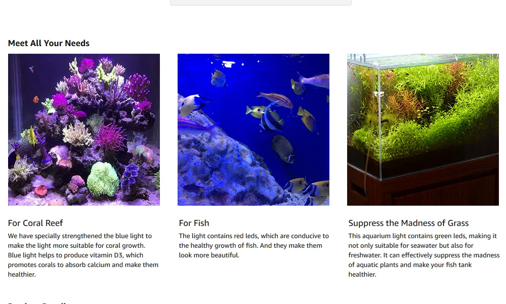 微信图片_20200813141725