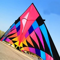 Free shipping large delta kite for adults flying toys ripstop nylon sport kite string reel dragon kite cerf volant parachute 1