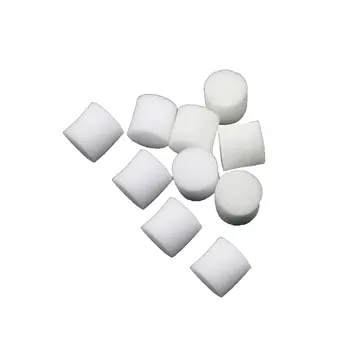 

Collar Foam 10pcs Insert Plant Soilless Hydroponic Nursery Tools Hydroponics Sponge Mini White Vegetable Mesh Net Pots