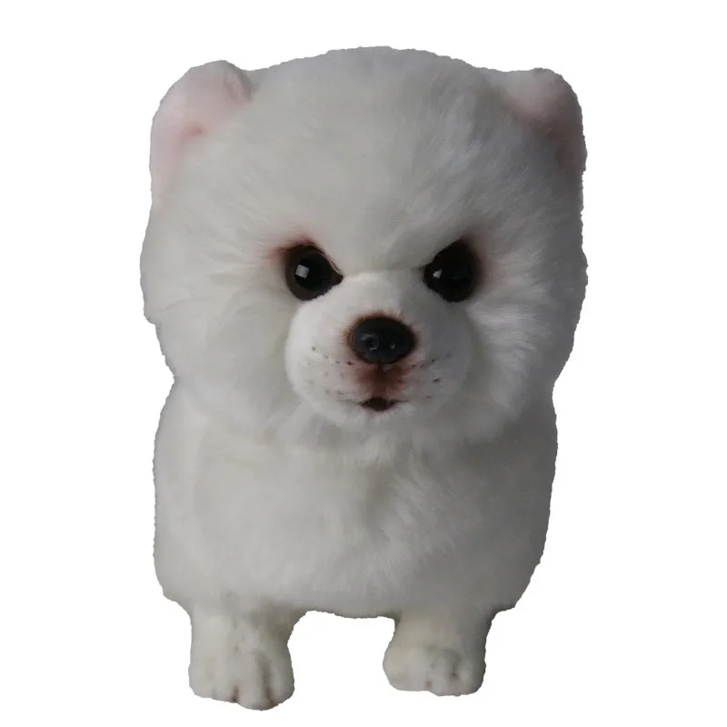 Baby Plush Toy Simulation Pomeranian Samoyed Pure White Dog Stuffed Animal Toy Super Realistic Dog Toy Home Decor Pet Child Gift Stuffed Plush Animals Aliexpress