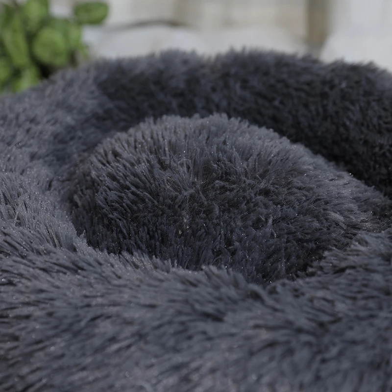 12988139267_496521372