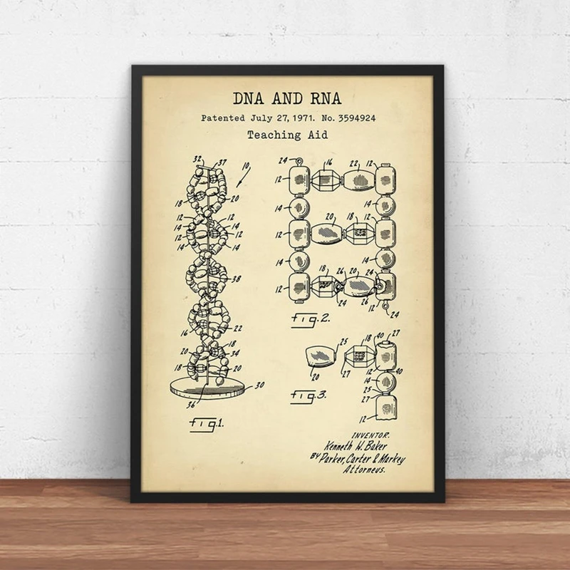 human dna and rna teaching aid patent poster genetics biology wall art canvas print medical student gift science painting decor