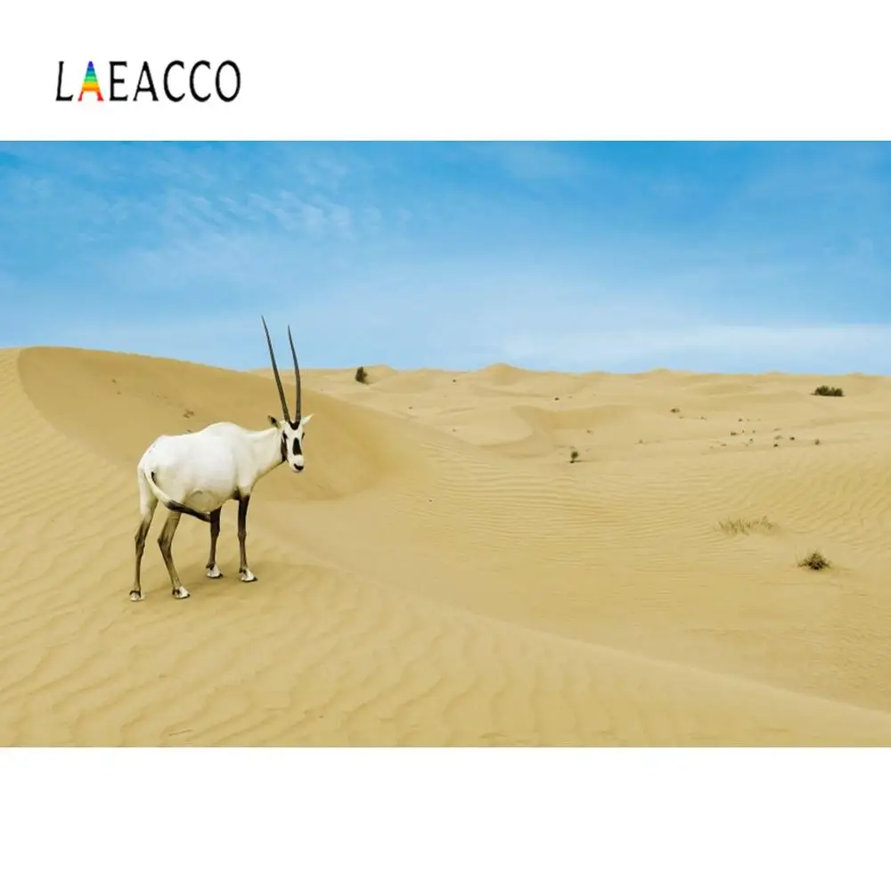Laeacco фоны для фотосъемки с изображением десертов овец голубого неба Природный