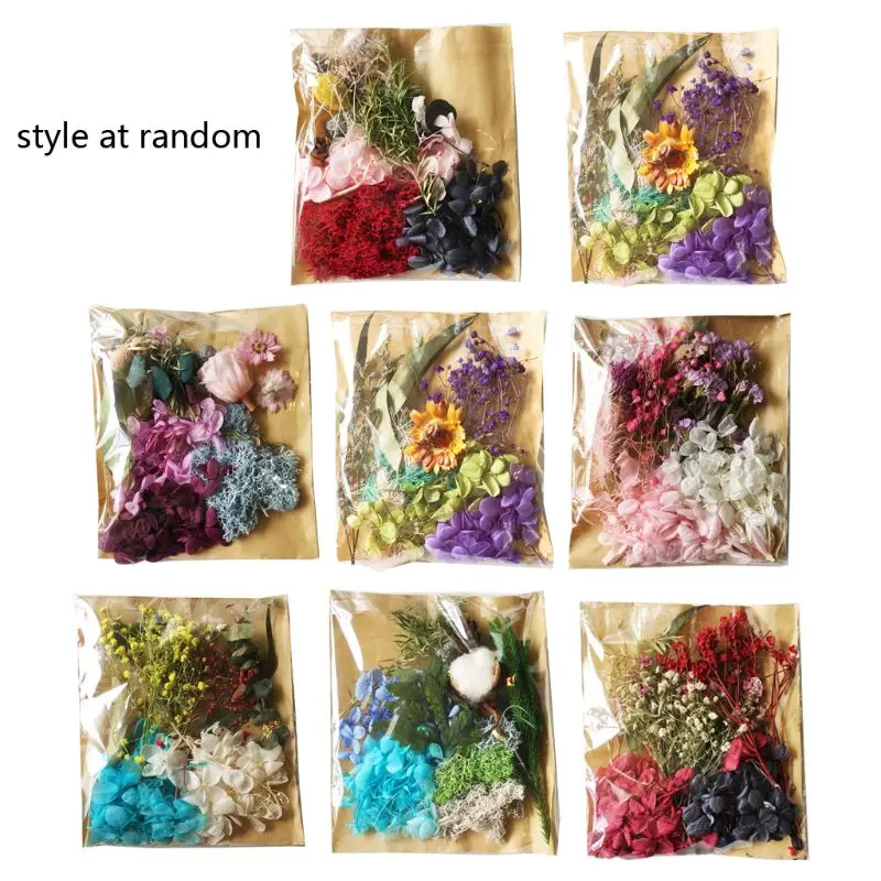 

Real Pressed Flower Leaves Dried Daisy Flower Nail Art Resin Art Jewelry Making