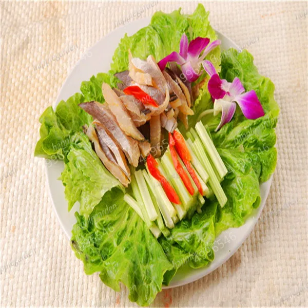 HTB1D4zoX5DxK1Rjy1zcq6yGeXXaa