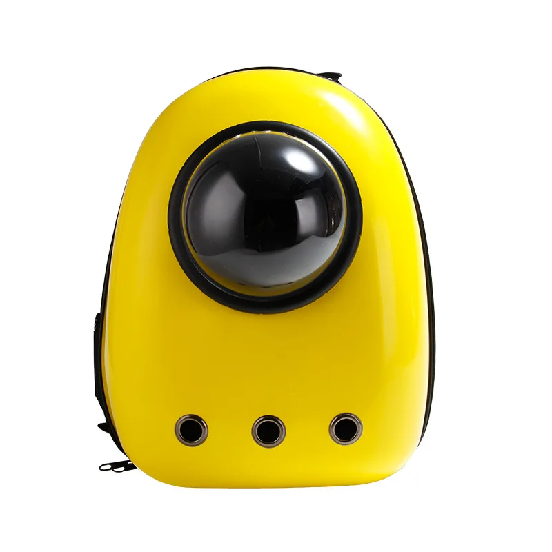 New pet products on the market (1).jpg