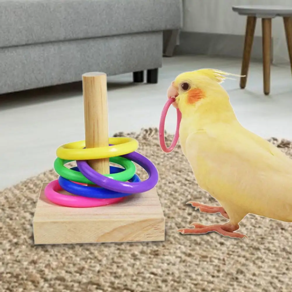What Are Some Good Rare Birds To Collect?