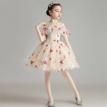 

Baby Infant Sweet Lovely Embroidery Flowers Birthday Holiday Party Ceremony Princess Fluffy Dress Kids Host Piano Costumes Dress