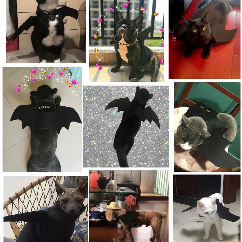 Хэллоуин Decora Pet костюм летучей мыши Косплей кошки собаки для Хэллоуина любимчика