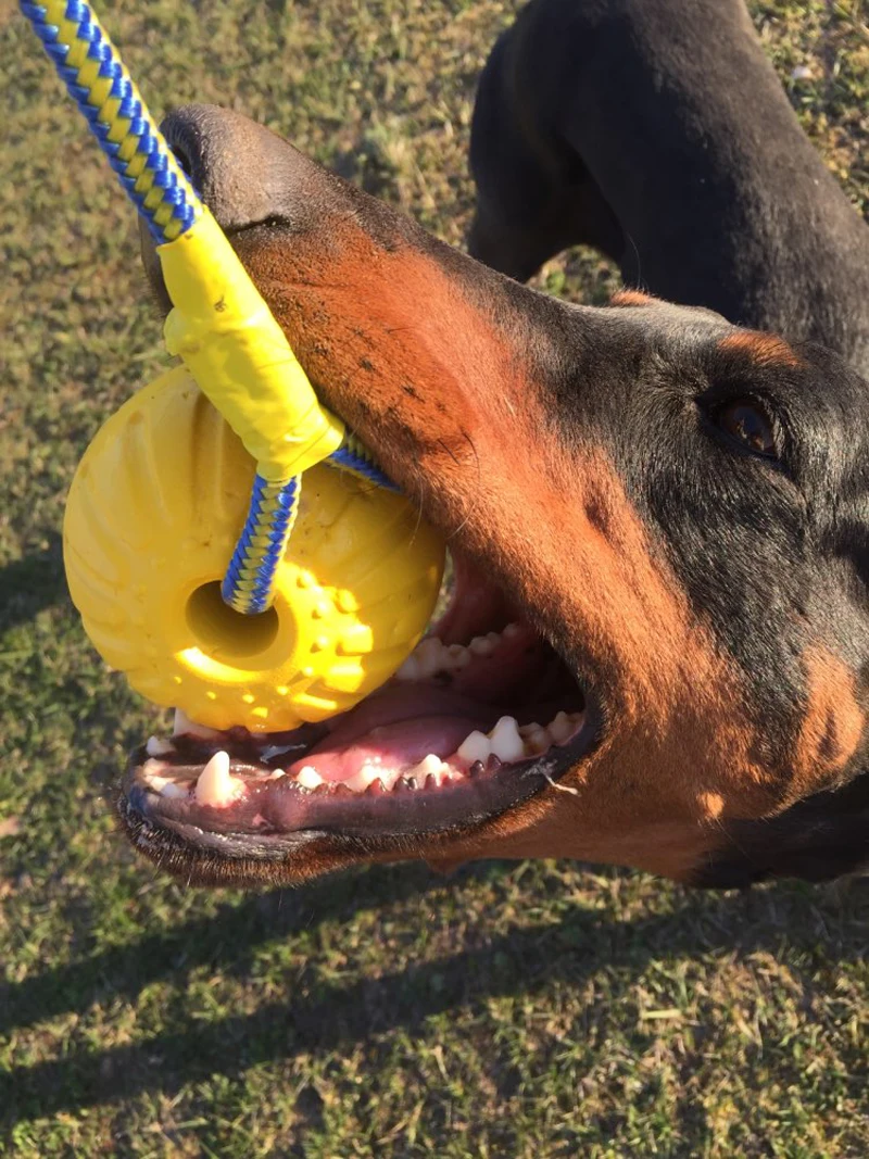 UTB8fY5BLODEXKJk43Oqq6Az3XXaA