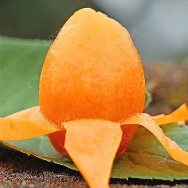 Ha495141c1f6843f7b0e60be997016090E