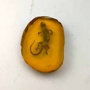 

Amber scorpion pendant insect taxidermy insect with insect amber section handle piece