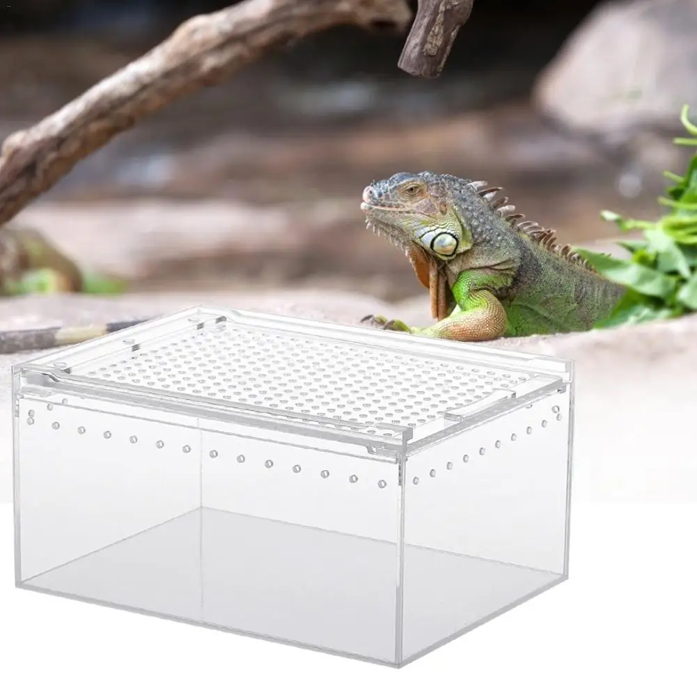 S-201515cm Transparent Acrylic Pet Reptile Box,Acrylic Feeding Box Enclosure Transparent Reptile Breeding Box Cage Hatching Container for Scorpion Spider Snake Frog Lizard Insect Mantis 