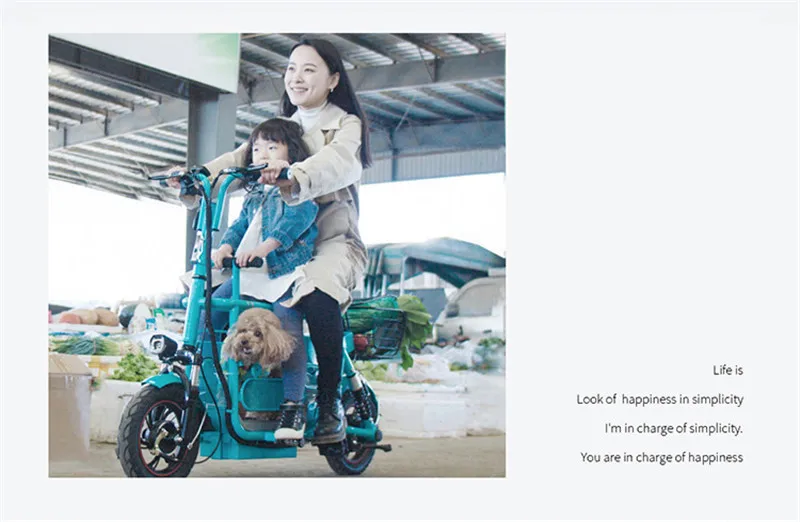 Daibot Folding Electric Bike 400W 48V Electric Bicycle Max Range 85KM Seat WhiteBlue 2wheeled Electric Scooter For Adults Kids  (20)