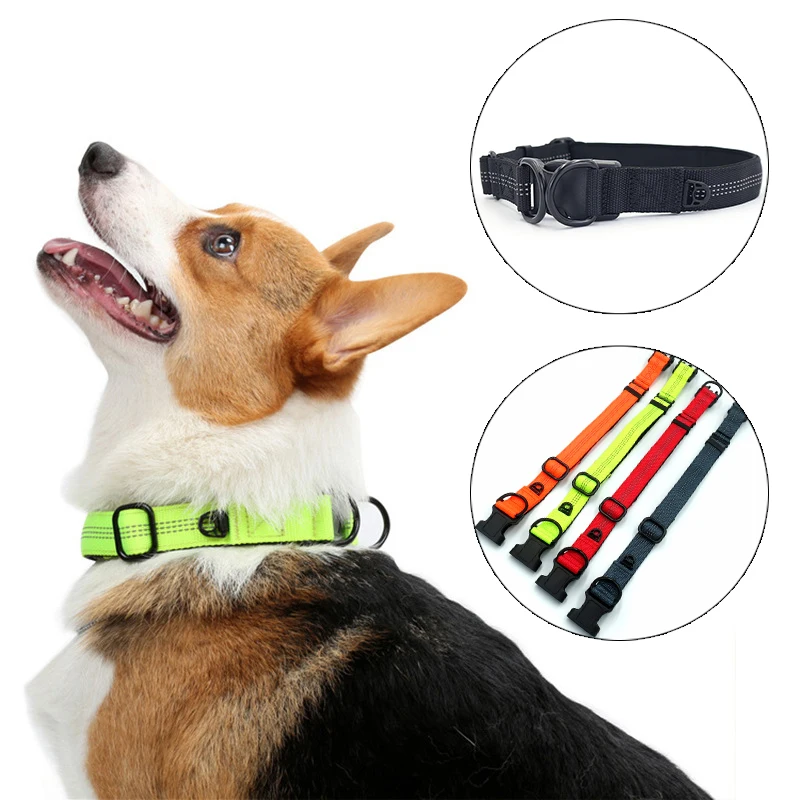 Large and medium sized dog training dog collar double D ring buckle pet