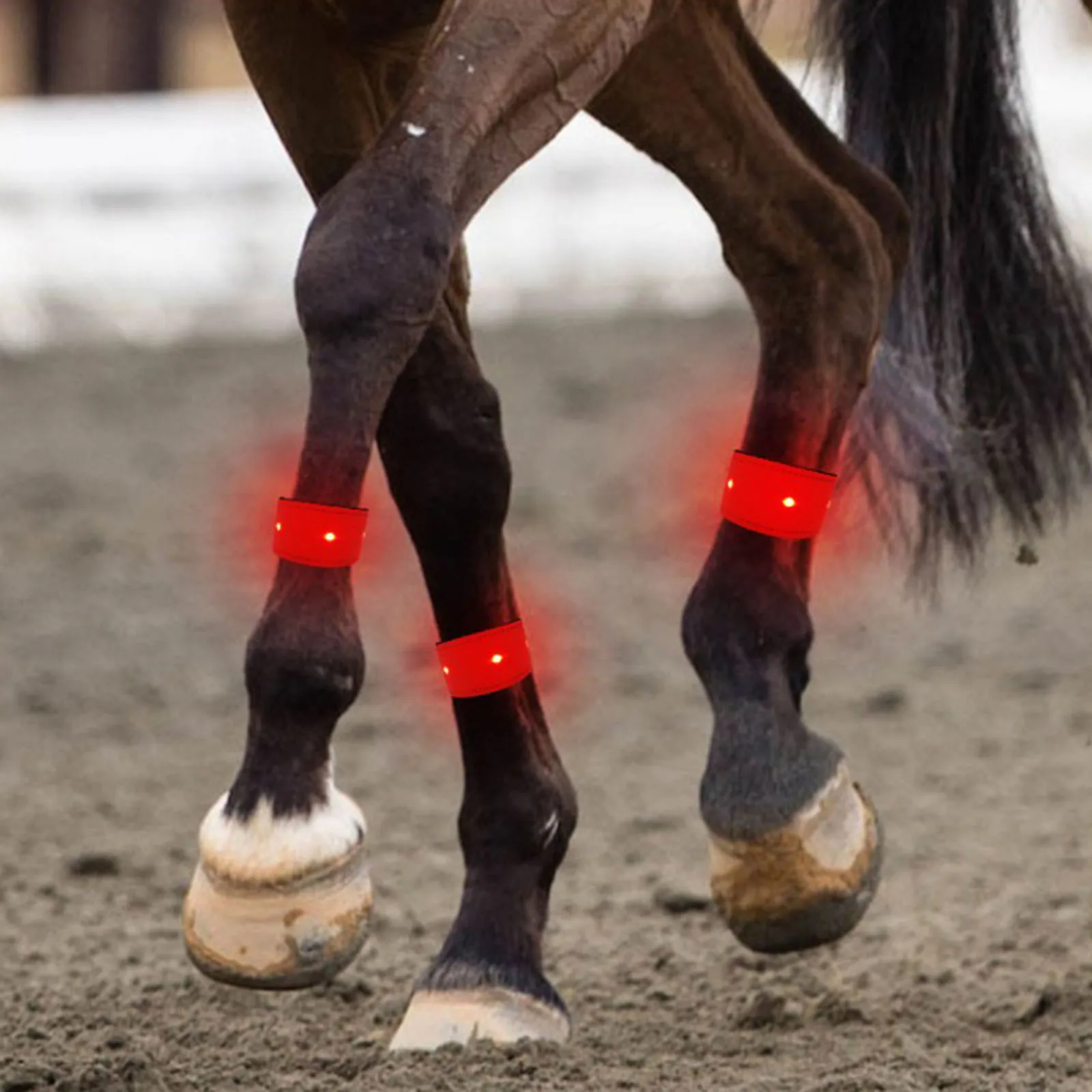 Equestrian LED Luminous Horse Leg Strap Safety Warning Belts Dogs Cats Men Women